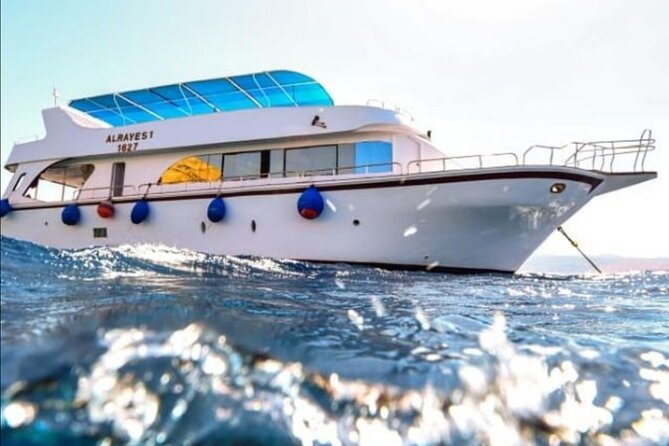 Take advantage of a half-day boat dive experience in Red sea of Aqaba. - Meeting at 9:00 am and reaching the boat