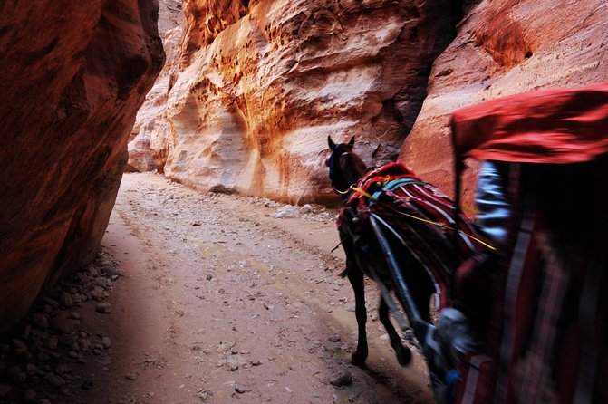 Transportations around Jordan | The Jordanian Mappers - A private ride that keeps Jordan simple