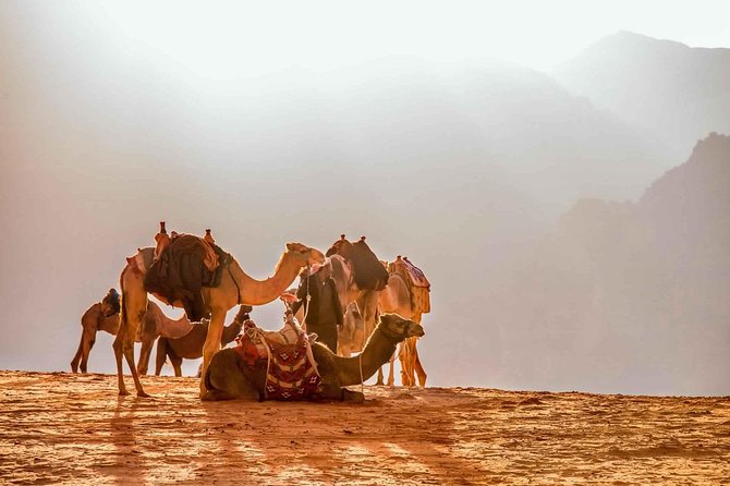 Treasures of Jordan Tour-7 Days Discover Petra & Dead Sea & Wadi Rum with Hotels - Day 5: An open day back in Amman