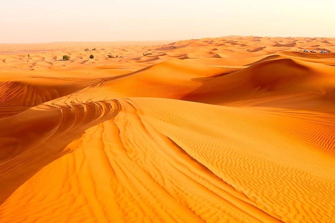 Treasures of Jordan Tour-7 Days Discover Petra & Dead Sea & Wadi Rum with Hotels - Day 7: Airport transfer and departure