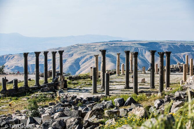 Trip to Jerash, Ajloun and Umm Qais - A Private Car, Not a Full Guided Tour