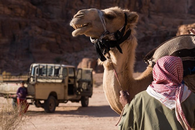 Two-Hour Jeep Safari "Wadi Rum Highlights!" w/ Professional Guide - A short 4x4 route through Wadi Rum