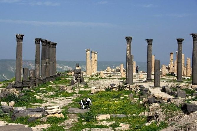 Umm Qais, Ajloun and Jerash Full-Day Tour from Amman - The driver can make or break the day