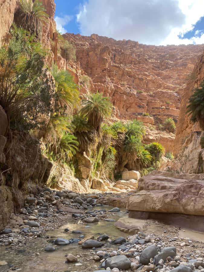 Wadi Ghuweir Full-Day Hike with Local Guide & Lunch. - Key points at a glance