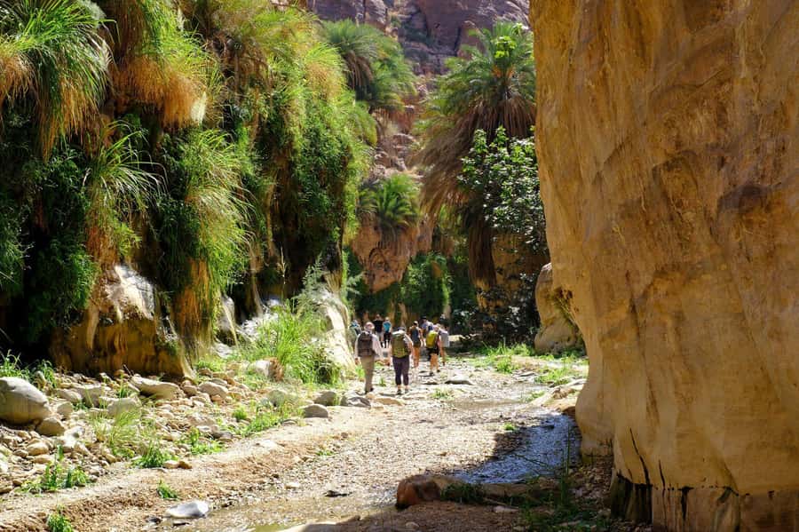 Wadi Ghuweir Full-Day Hike with Local Guide & Lunch. - Why Wadi Ghuweir feels so different