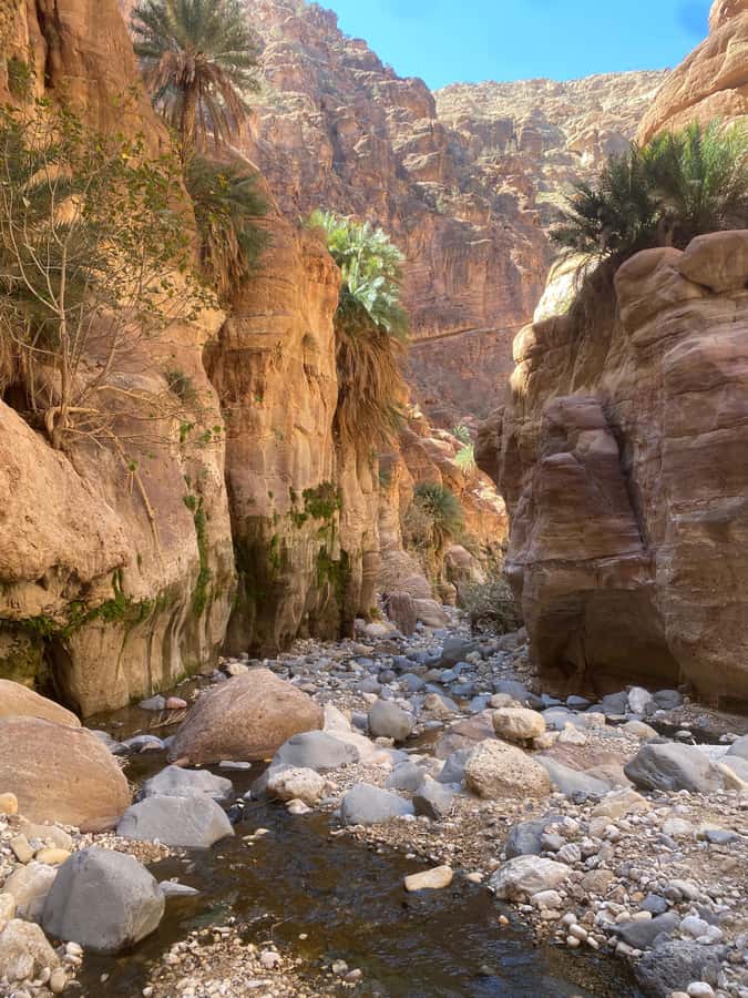 Wadi Ghuweir Full-Day Hike with Local Guide & Lunch. - Starting near Shoupak and Dana