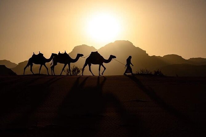 Wadi Mujeb, Dead Sea, Madaba & Mont Nebo Private Day tour - Timing, pickup, and details to confirm