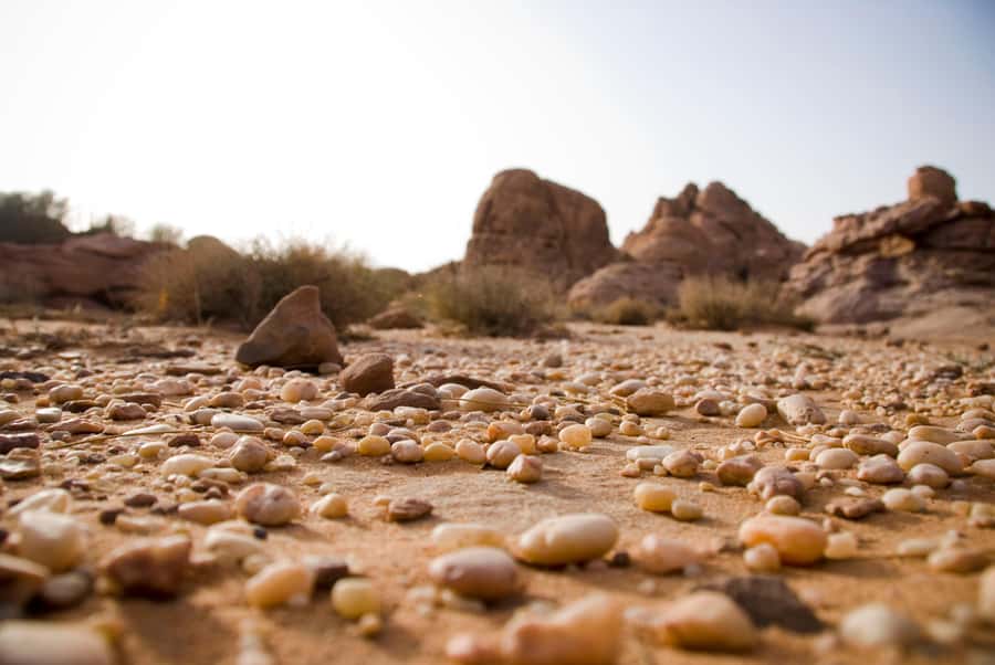Wadi Rum: 10 Hour Jeep Tour Pass, Camel, Sandbording & Lunch - Key points to know before you book