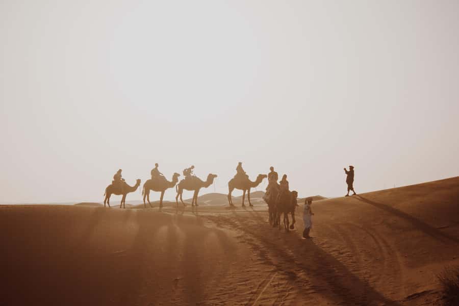 Wadi Rum: 2 Hour Camel Ride at Sunset/Sunrise Overnight - Two hours on a camel at golden hour