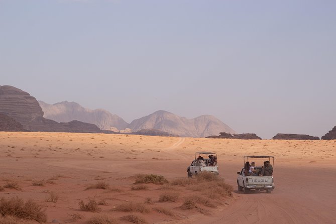 Wadi Rum: 4 Hour Highlights Tour - Key points at a glance