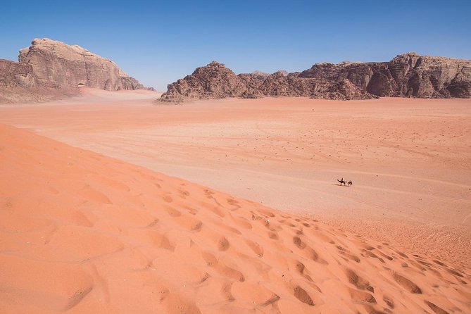 Wadi Rum: 4 Hour Highlights Tour - Lawrence’s Spring and the desert’s stories