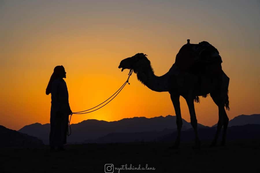 Wadi Rum: Camel Ride with tea and Bedouin Guide - The 15-minute jeep ride into the desert