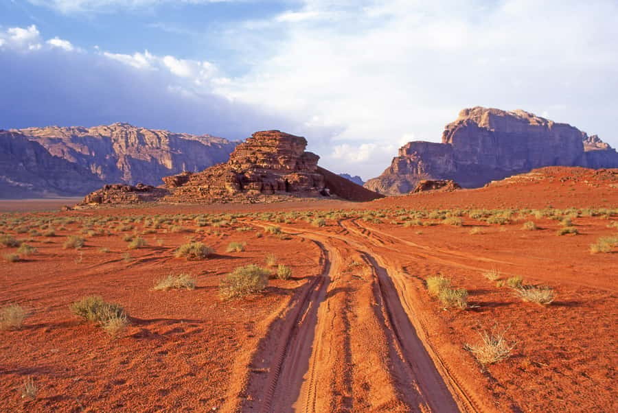 Wadi Rum: Camel Ride with tea and Bedouin Guide - Booking, cancellations, and practical planning