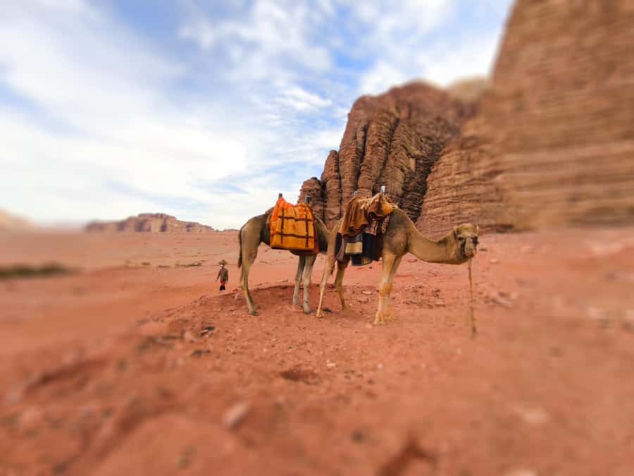 Wadi Rum: Camel Ride with tea and Bedouin Guide - One hour on camelback
