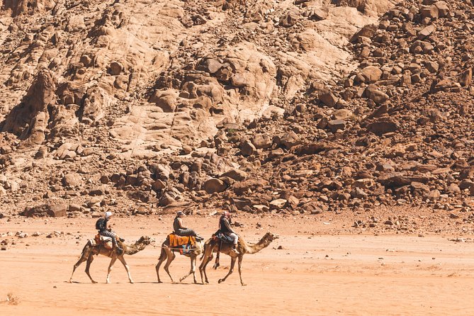 Wadi Rum: Camel Trek Adventure - Why camelback works so well in Wadi Rum