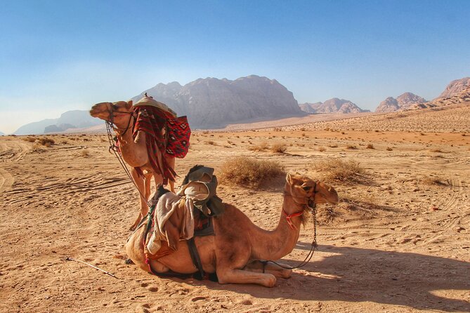 Wadi Rum: Camel Trek Adventure - Khazali Canyon and ancient inscriptions