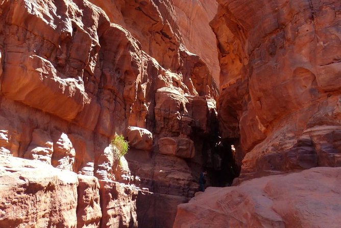 Wadi Rum: Camel Trek Adventure - What three to four hours feels like
