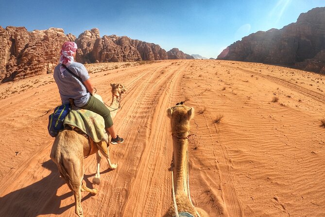 Wadi Rum: Camel Trek Adventure - The camel ride: a slow route through orange sand valleys