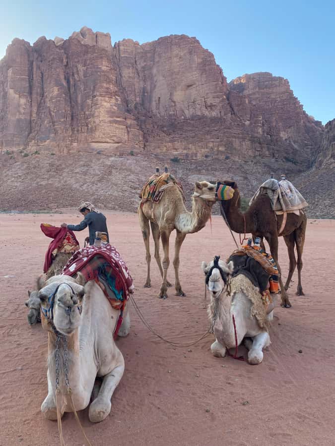 Wadi Rum Classic 4-Hour Jeep Safari - What the price really means