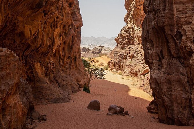 Wadi Rum Desert Tour with Lunch & Sunset - Ending with tea and a Wadi Rum sunset