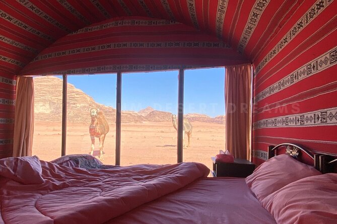Wadi Rum Full Day Jeep Tour + Overnight & Dinner in Bedouin Camp - Red Sand Dune and the art of getting back down