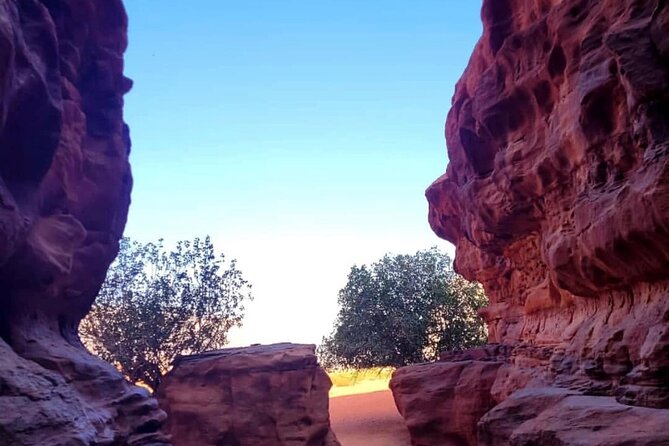Wadi Rum Full Day Jeep Tour + Overnight & Dinner in Bedouin Camp - Abu Khashaba Canyon brings a welcome change