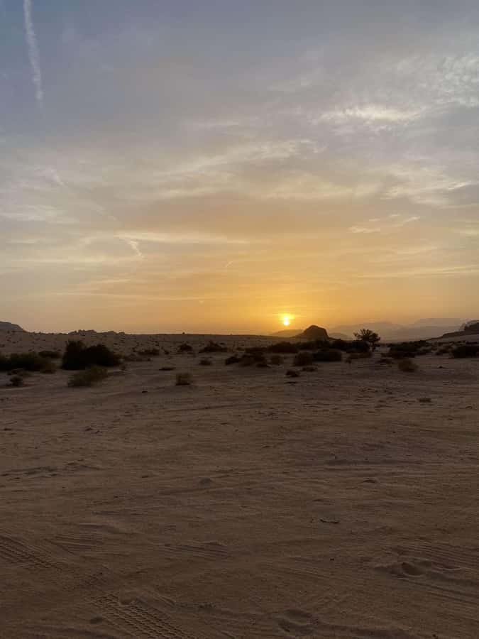 Wadi Rum:Full Day Tour Lunch Sand boarding Camel Ride Sunset - Al Ramal’s red dunes and the sandboarding test
