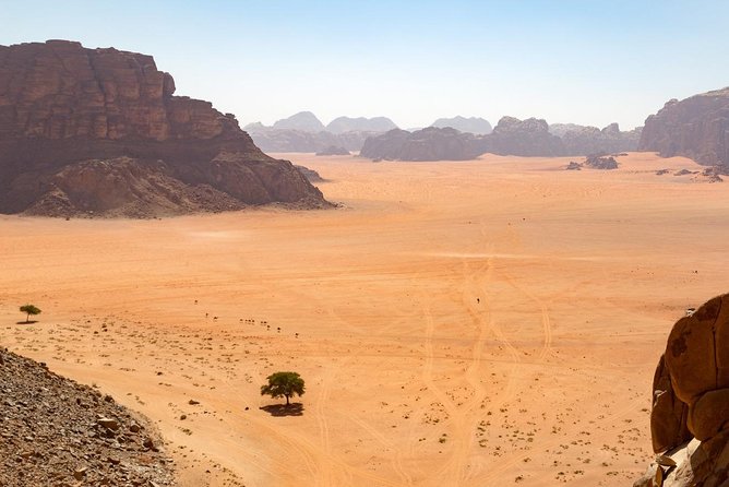 Wadi Rum: Full Day Valley Tour with Lunch - Starting at Wadi Rum Village