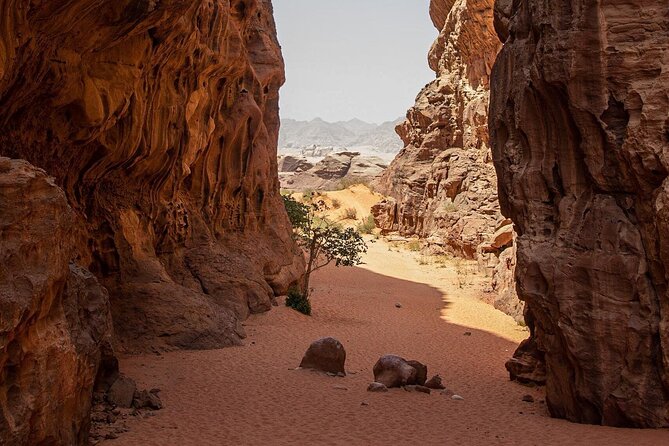 Wadi Rum Half-Day Desert Tour | Wadi Rum Desert - Khazali Canyon’s ancient inscriptions