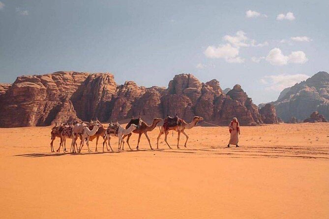 Wadi Rum Half Day From Aqaba Private Tour - Entering the protected desert by local 4WD