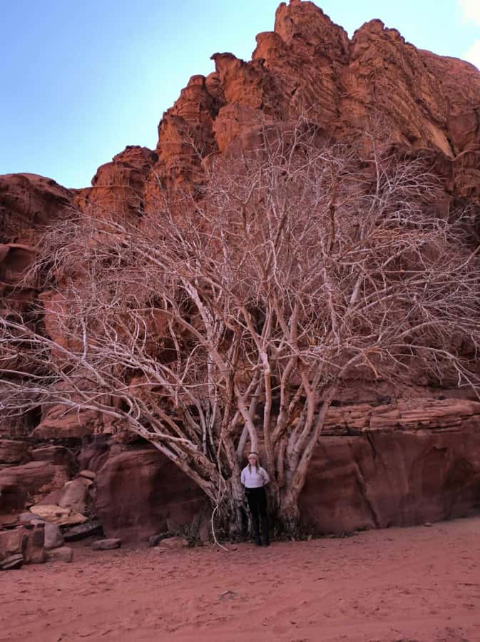 Wadi Rum: Morning or Sunset Jeep Tour - Lawrence’s House and the movie-set scenery