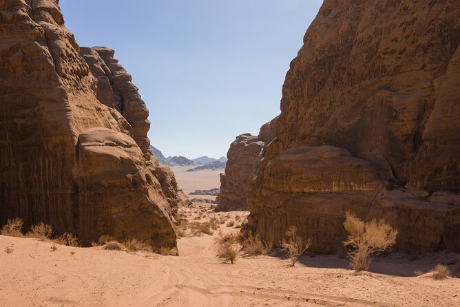 Wadi Rum: Mountain Hike with Lunch & Scenic Valley Tour - Picnic lunch, shade, and Bedouin tea