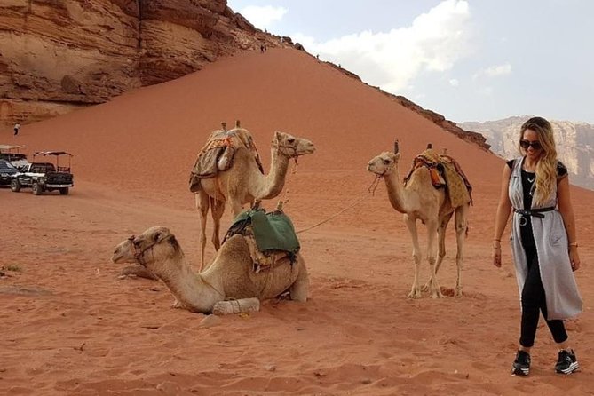 Wadi Rum Private Transfer to or from Amman or Airport - Comfort inside the private vehicle