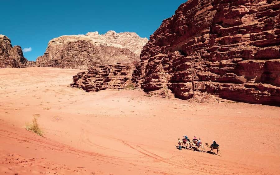 Whispers of Stone, Sand & Sea: Jordan in Four Days - Key points to know before booking