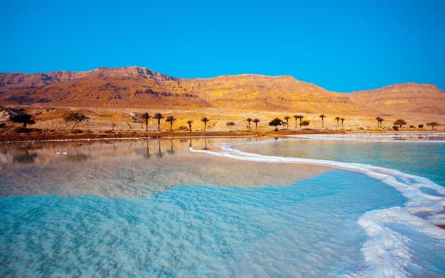 Whispers of Stone, Sand & Sea: Jordan in Four Days - Day 3: Aqaba gives the trip a change of color